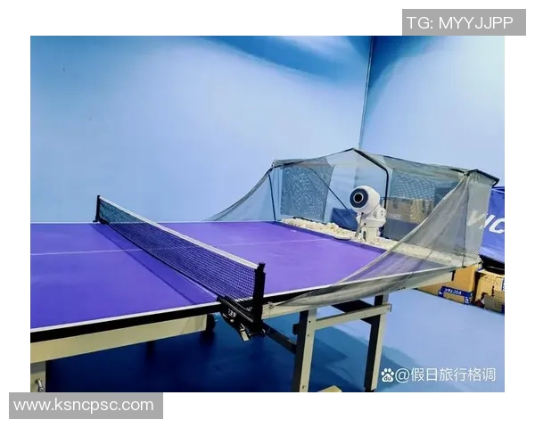 陈伟独家分享乒乓球技巧与心得体会助你提升球技的秘密秘籍